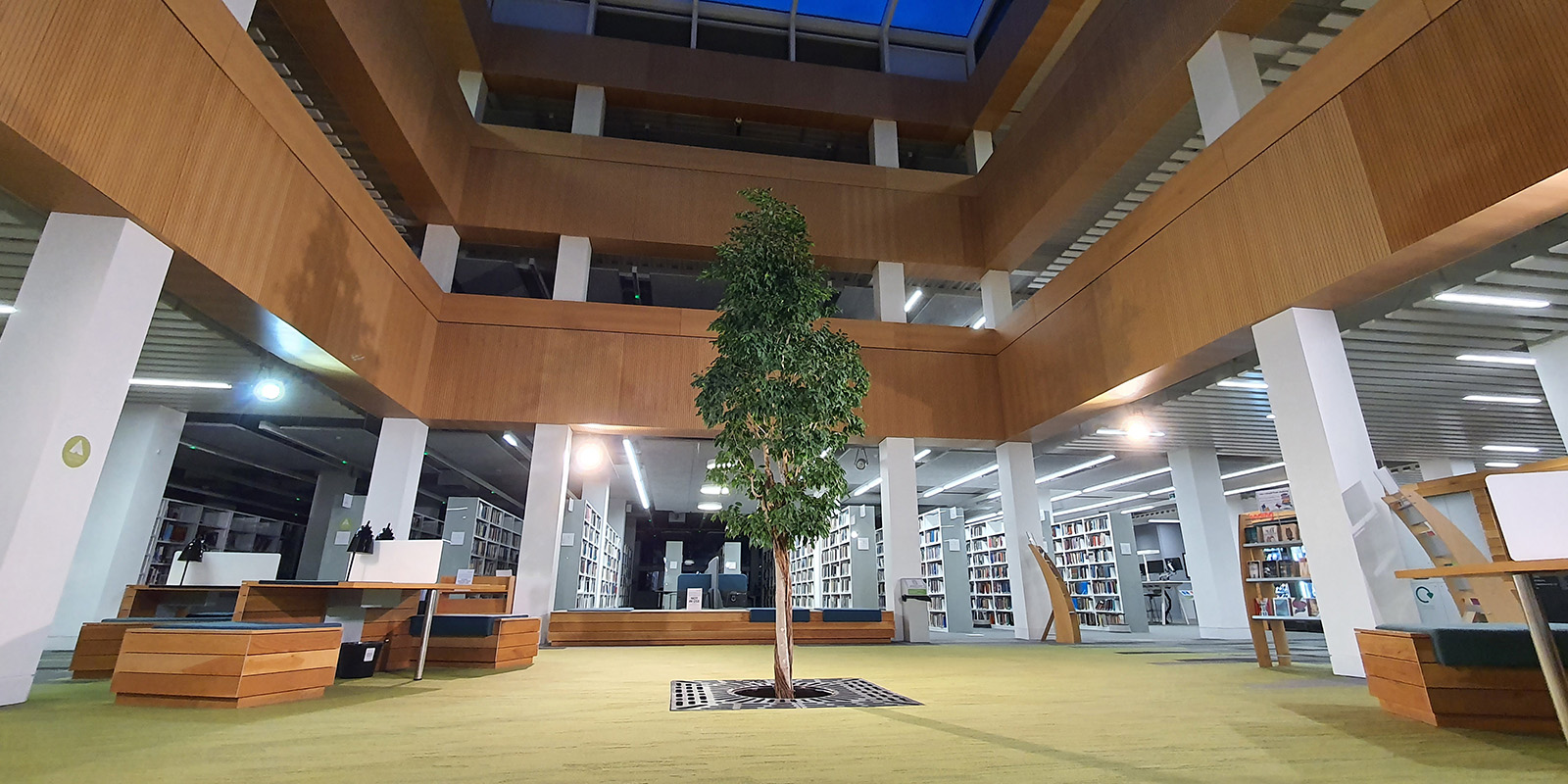 新加坡六合彩开奖直播 library foyer with the living tree in the centre.